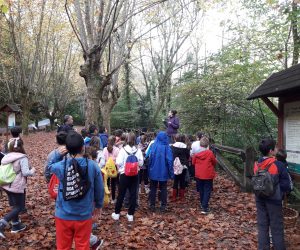 Excursión Fragas do Eume