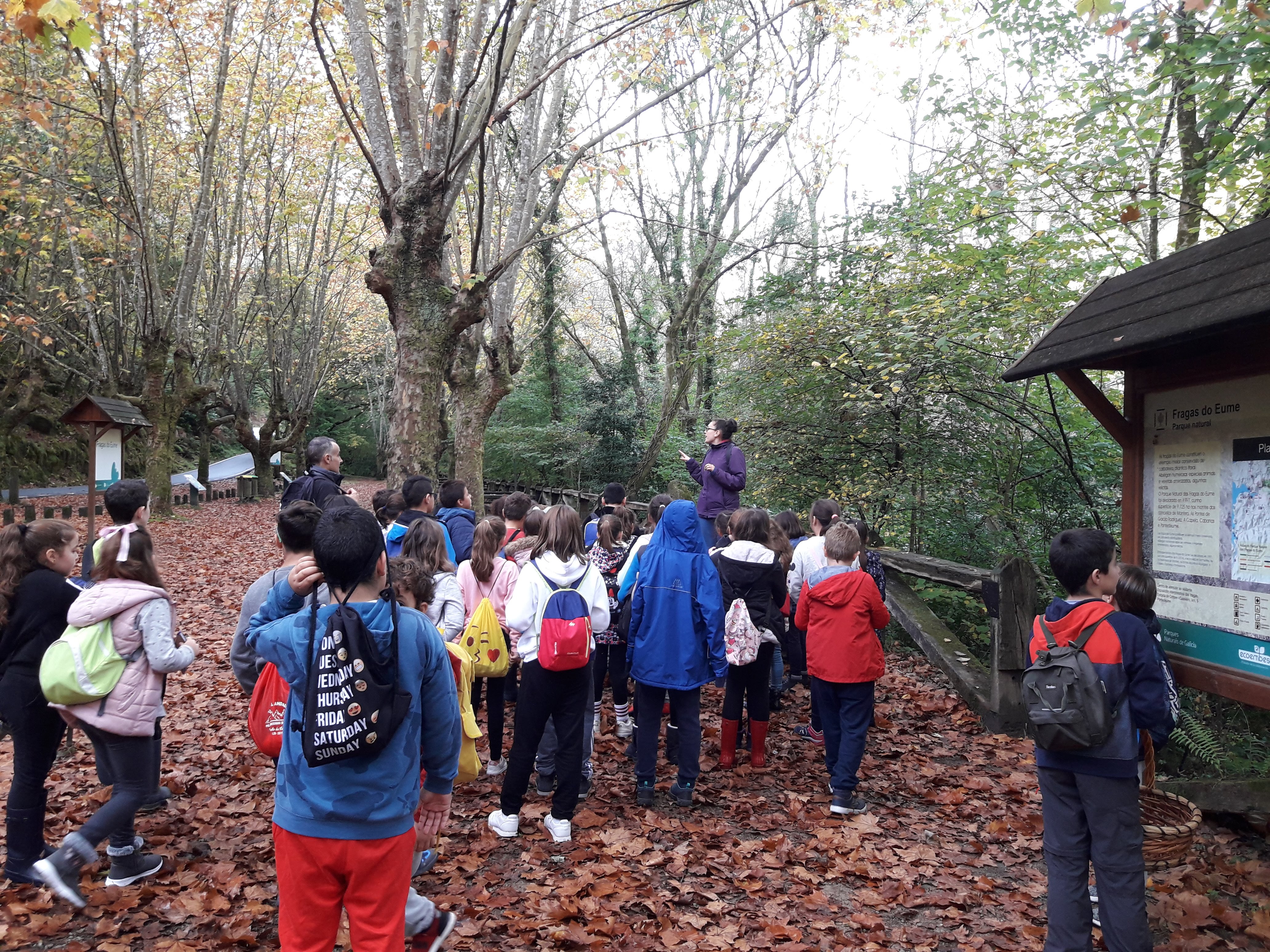 Excursión Fragas do Eume
