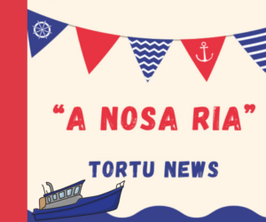 Tortu News nº 7