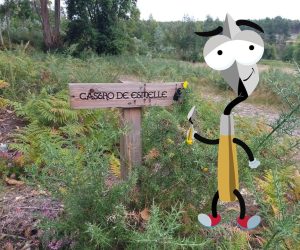 Visita ao Arqueódromo