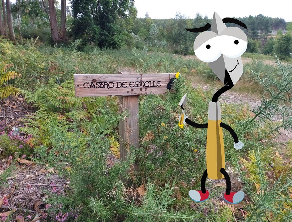 Visita ao Arqueódromo